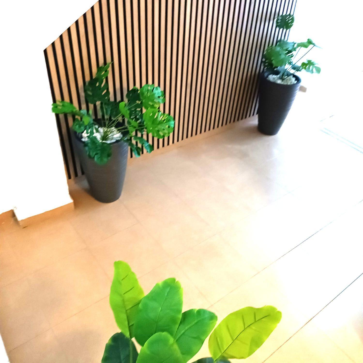 Apartamentos Calle Nueva มาลากา ภายนอก รูปภาพ